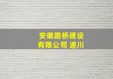 安徽路桥建设有限公司 遂川